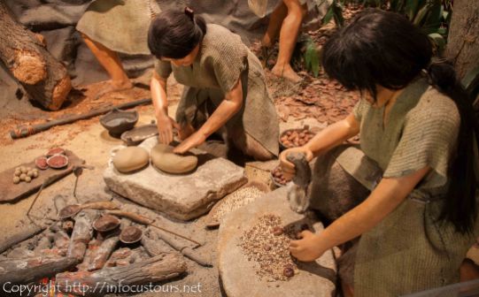 Middle to late Jomon and stone tools
